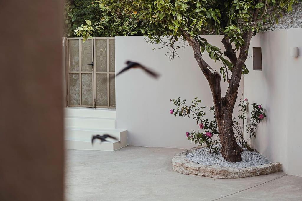 Lotusland, A Relaxing House At Amari Rethymno Villa Ajía Fotiní Kültér fotó
